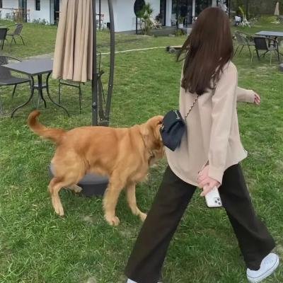 中国大骗局